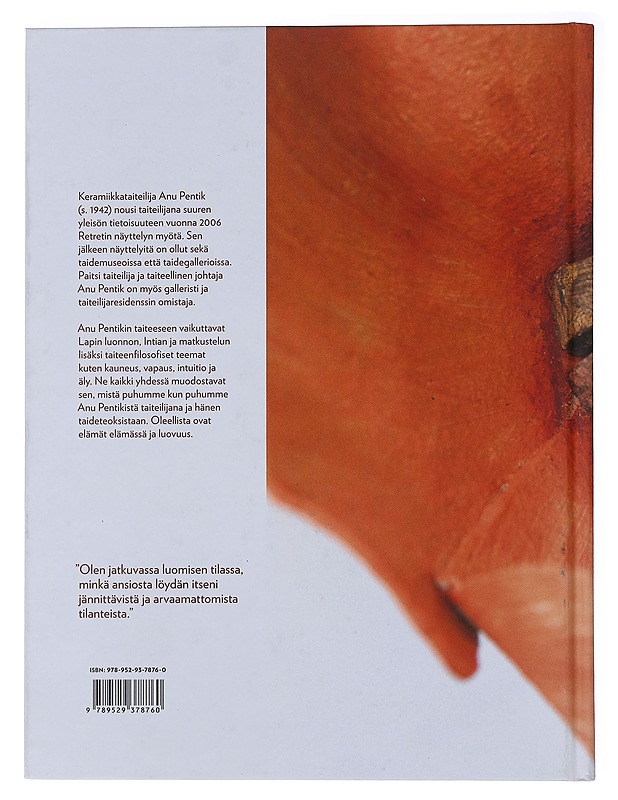 Anu Pentik : palo taiteeseen - Pentik, Anu - Taide- ja kulttuurikirjat - 10105496160 - 1