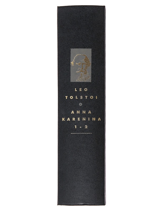 Anna Karenina - Tolstoi, Leo - Romaanit ja novellit - 10105496231 - 1