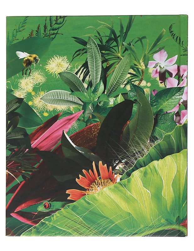 Kiehtovat keksinnöt - Petty, Will - Lastenkirjat - 10105496437 - 1