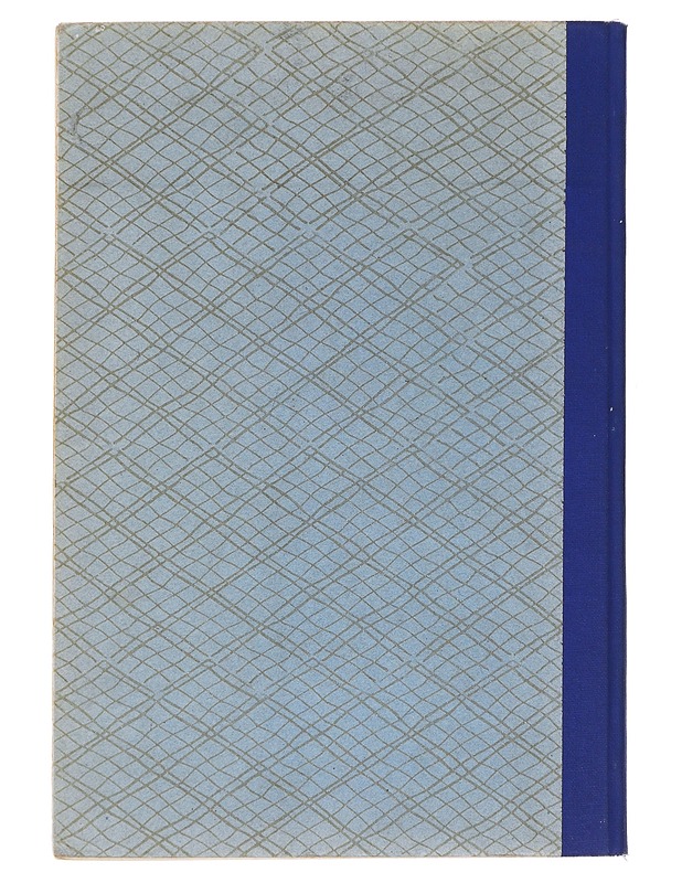 Auton Koneistot - Lauri Rousi - Harrastekirjat - 10105496530 - 1