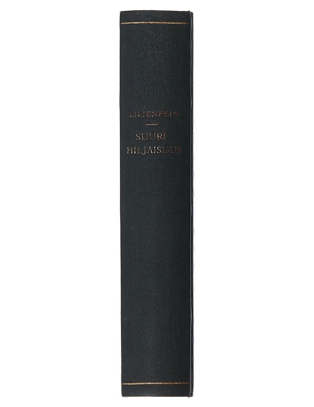 Suuri Hiljaisuus - Heinrich Lilienfein - Romaanit ja novellit - 10105496543 - 1