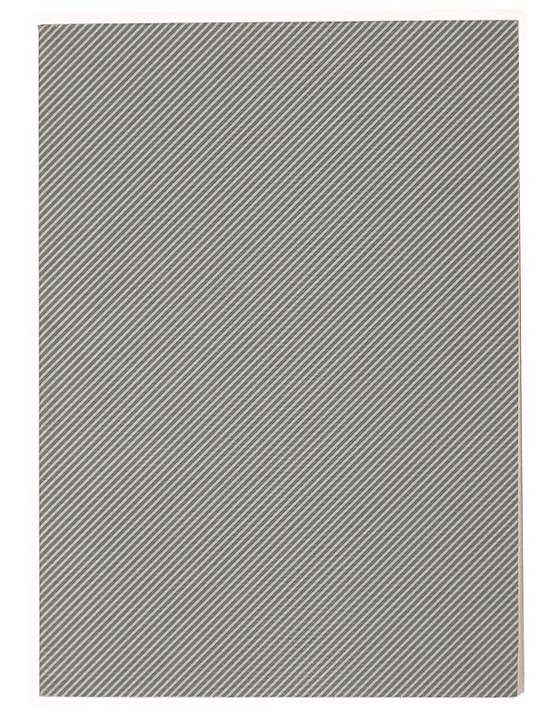 Russia is stormy today too - Mari Yonehara - Taide- ja kulttuurikirjat - 10105496718 - 1