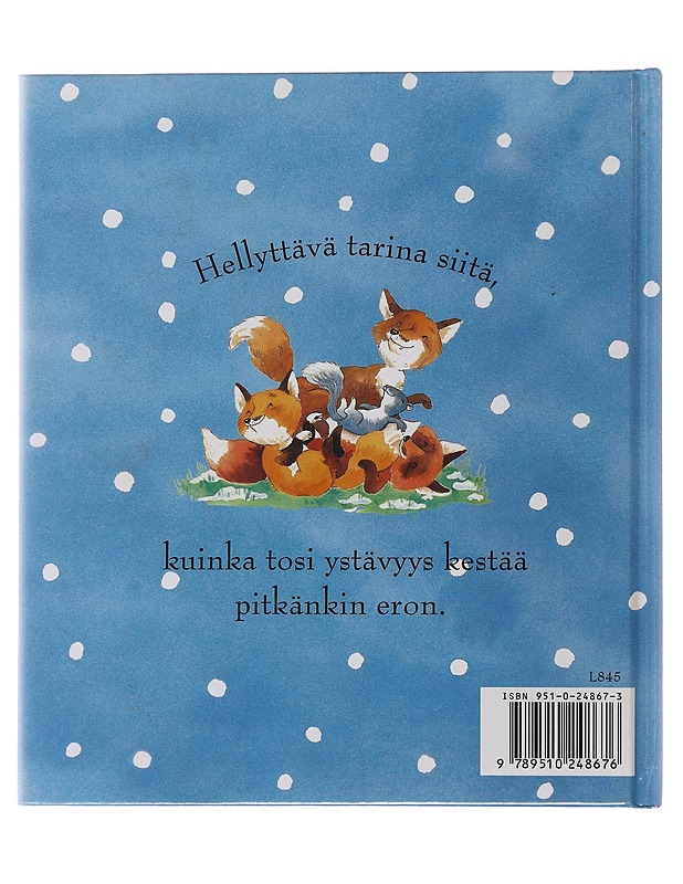 Kaipaan sinua, ystäväni - Grindley, Sally - Lastenkirjat - 10105497699 - 1