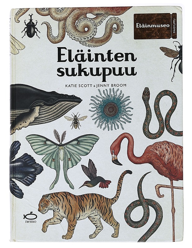 Eläinten sukupuu - Scott, Katie; Broom, Jenny - Tietokirjat ja oppaat - 10105497717 - 0