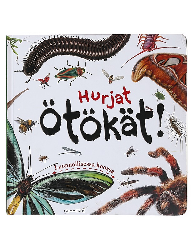 Hurjat ötökät! : luonnollisessa koossa - Catt, Helen - Lastenkirjat - 10105498434 - 0