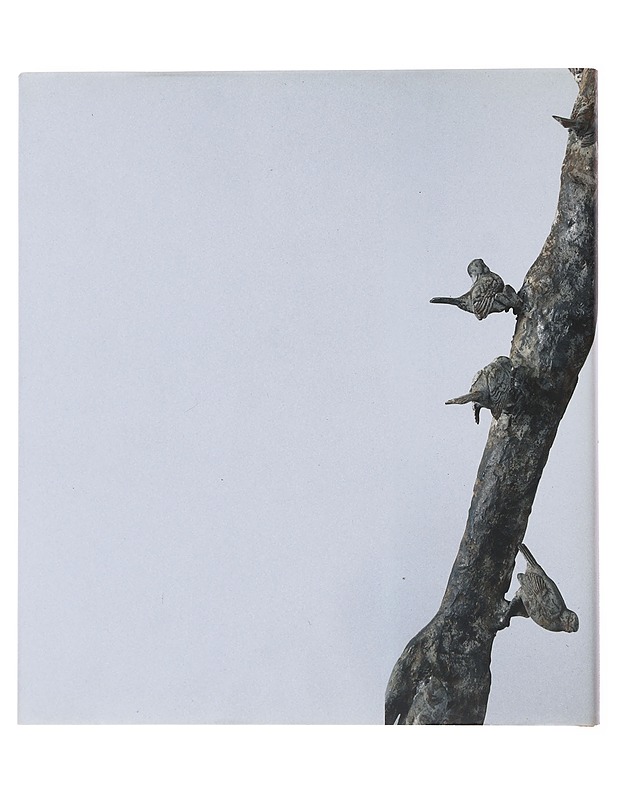 Saastamoisen säätiön taidekokoelma : kansainvälinen taide = Saastamoinenstiftelsens konstsamling : internationell konst = The Saastamoinen Foundation Art Collection : international - Taide- ja kulttuurikirjat - 10105499127 - 1