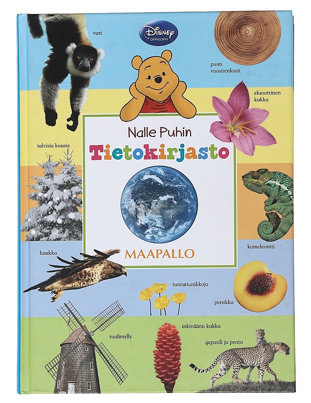 Nalle Puhin tietokirjasto. Maapallo - Feldman, Thea - Lastenkirjat - 10105499227 - 0