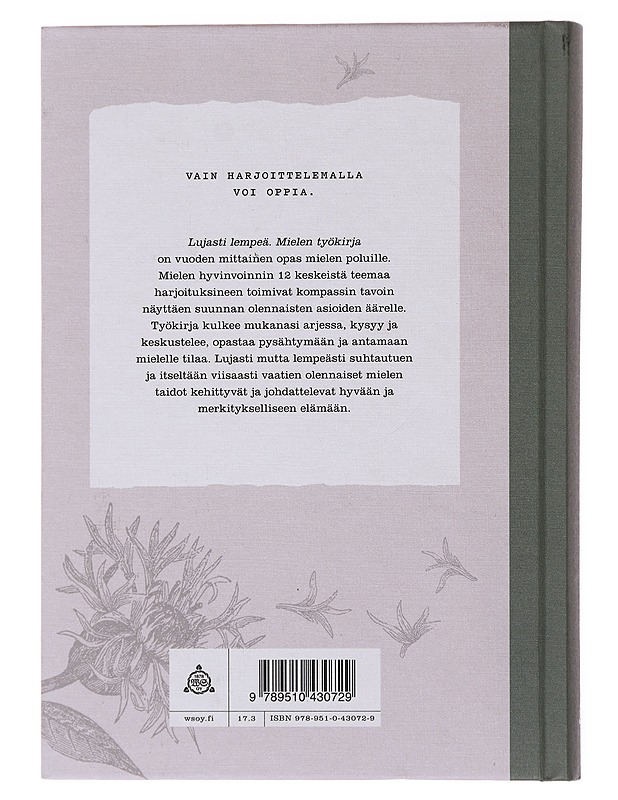 Lujasti lempeä : mielen työkirja - Maaret Kallio - Tietokirjat ja oppaat - 10105499483 - 1