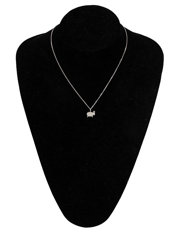 AARIKKA Pässiriipus - Korut - 10105499787 - 0