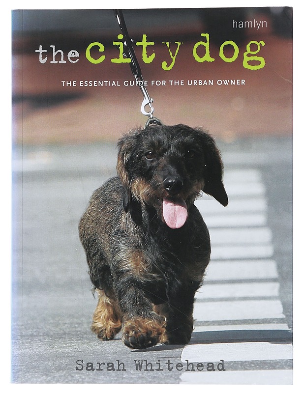 The City Dog - Sarah Whitehead - Kirja lahjaksi - 10105499832 - 0