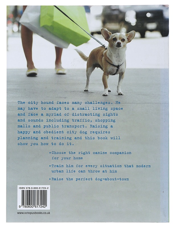 The City Dog - Sarah Whitehead - Kirja lahjaksi - 10105499832 - 1