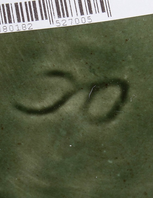 KUPITTAAN SAVI Paperipalvelu 25v muki - Mukit ja kahvikupit - 10105499869 - 2