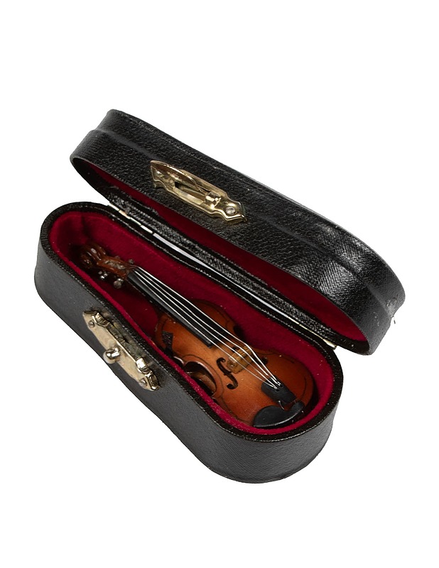 Miniatyyriviulu jousineen kotelossa - Askartelu - 10105500567 - 0