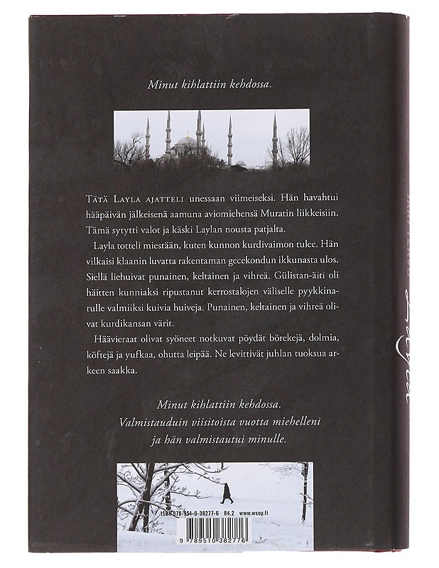 Layla : romaani - Jari Tervo - Romaanit ja novellit - 10105500705 - 1