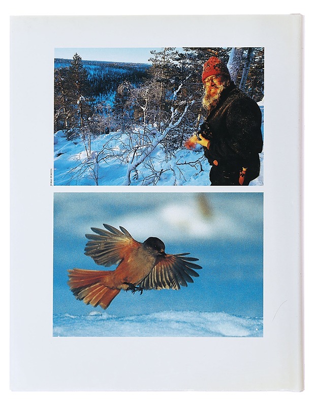 Taigametsän talvi : kuvia Koillismaalta - Hautala, Hannu - Tietokirjat ja oppaat - 10105500713 - 1