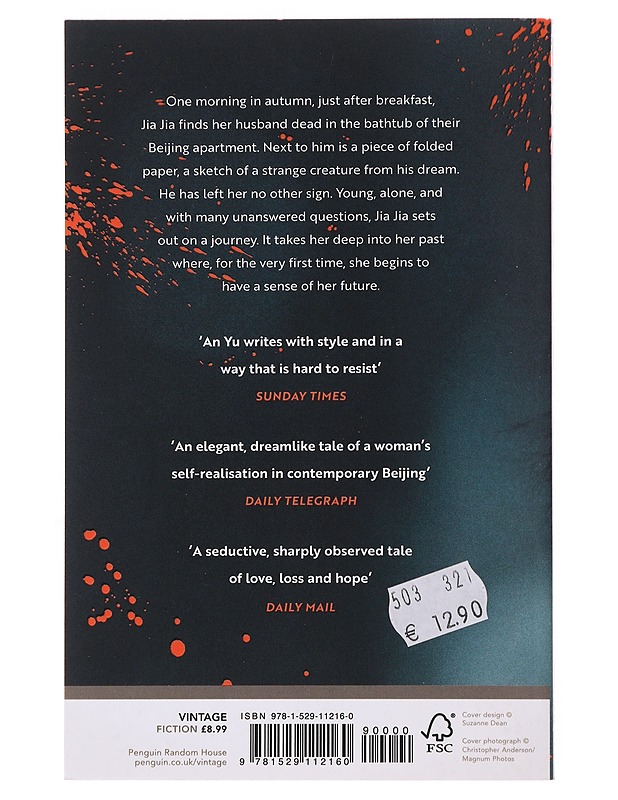 Braised pork - An Yu - Romaanit ja novellit - 10105500903 - 1