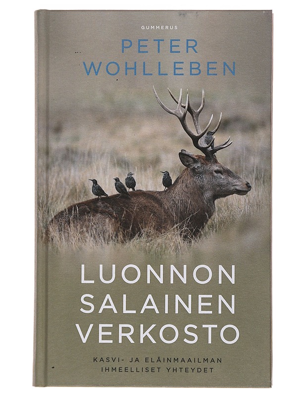 Luonnon salainen verkosto - Wohlleben, Peter - Tietokirjat ja oppaat - 10105501555 - 0