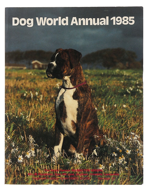 Dog World Annual 1985 - Matell, Elisabeth - Tietokirjat ja oppaat - 10105501808 - 0