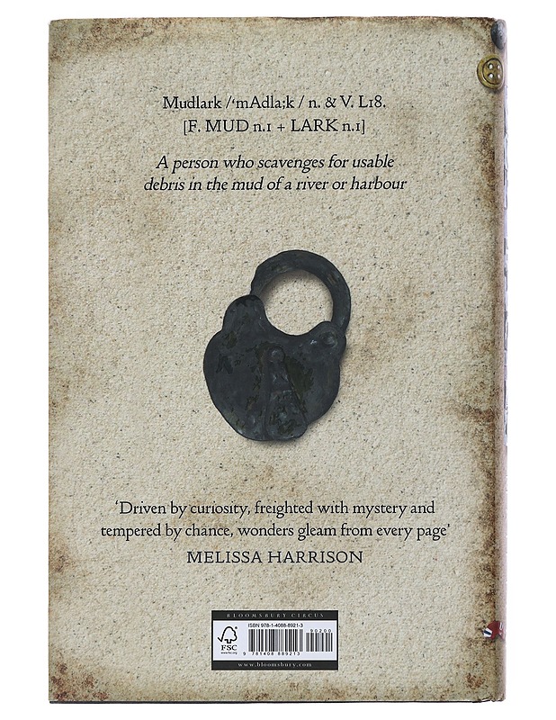 Mudlarking : The Sunday Times Bestseller - Lara Maiklem - Romaanit ja novellit - 10105502177 - 1
