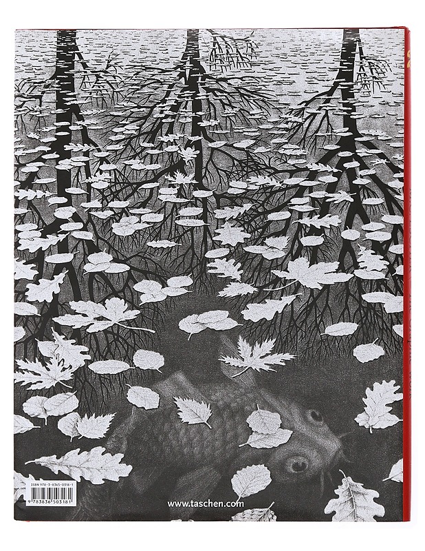 The Graphic Work - M. C. Escher - Taide- ja kulttuurikirjat - 10105502675 - 1