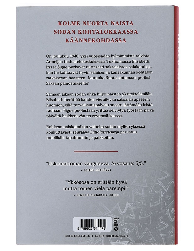 Vaarallinen yhteys - Rudberg, Denise - Romaanit ja novellit - 10105502794 - 1