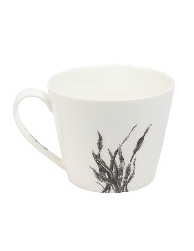 MAXWELL WILLIAMS kilpikonna muki - Mukit ja kahvikupit - 10105503056 - 1