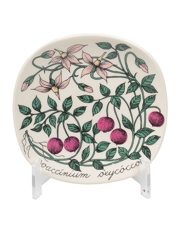 ARABIA Botanica  - Designsuosikit - 10105503159 - 0