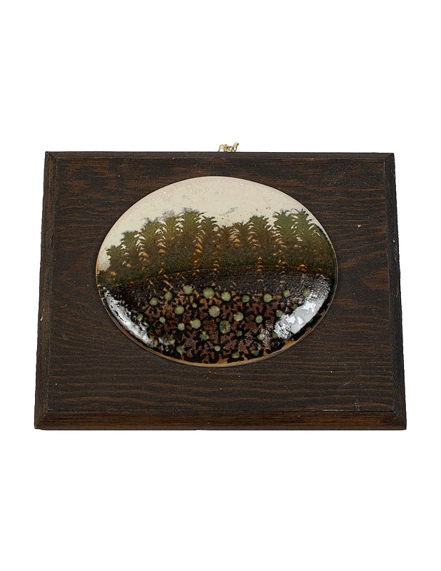 PENTIK Polytrichum formosum seinätaulu - Seinälautaset - 10105503384 - 0