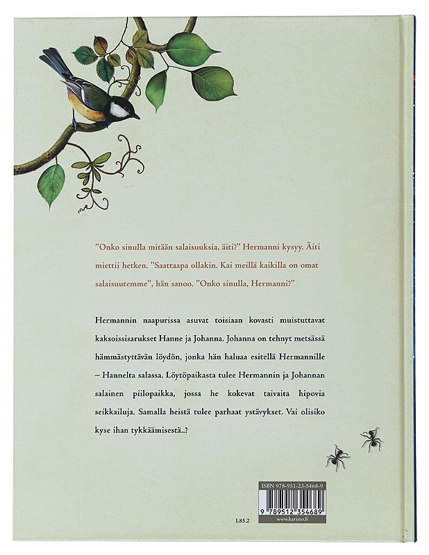 Hermannin salaisuus - Hole, Stian - Lastenkirjat - 10105503396 - 1