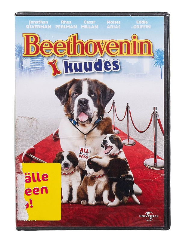 Beethovenin kuudes - DVD - DVD-elokuvat - 10105503704 - 0