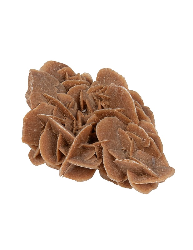 Aavikkoruusu koristekivi - Koriste-esineet - 10105503795 - 0