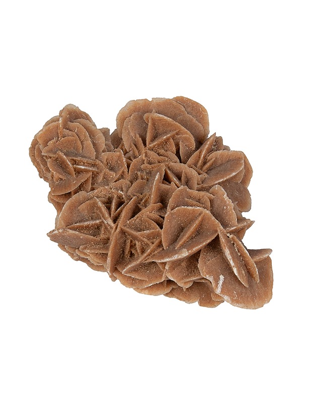 Aavikkoruusu koristekivi - Koriste-esineet - 10105503795 - 1