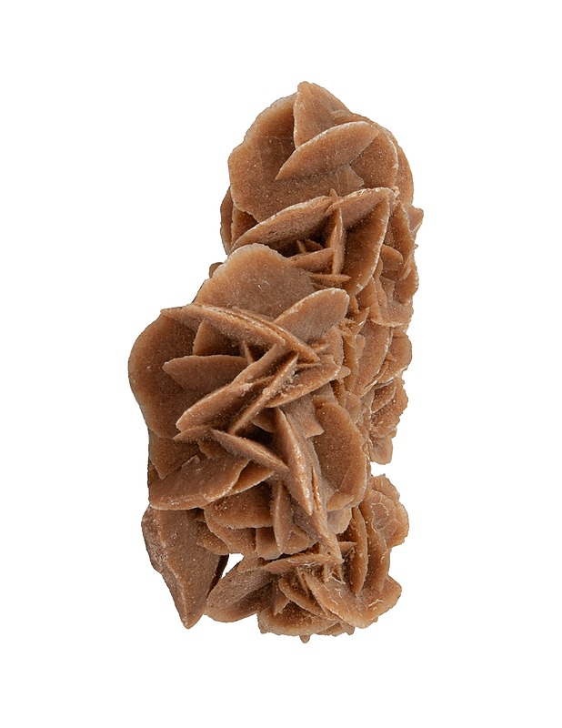 Aavikkoruusu koristekivi - Koriste-esineet - 10105503795 - 2