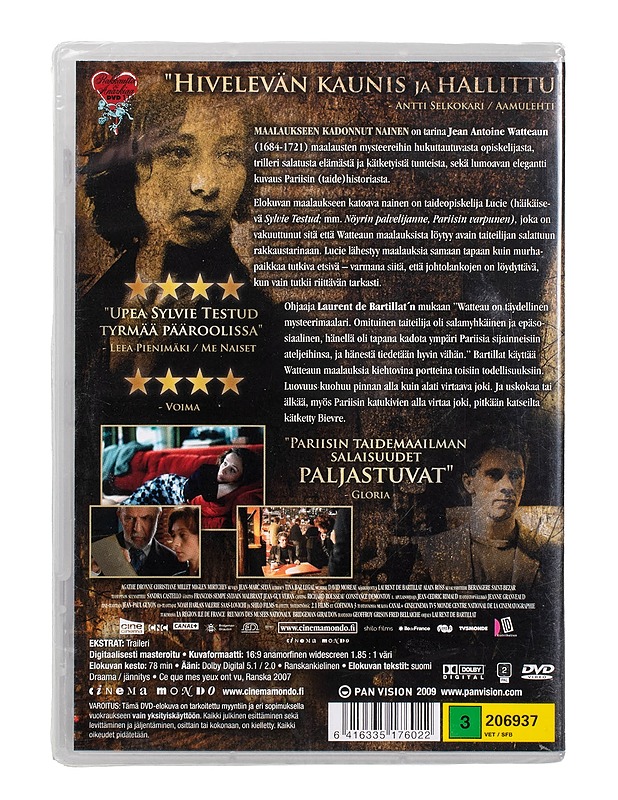 Maalaukseen kadonnut Nainen - DVD - DVD-elokuvat - 10105504320 - 1