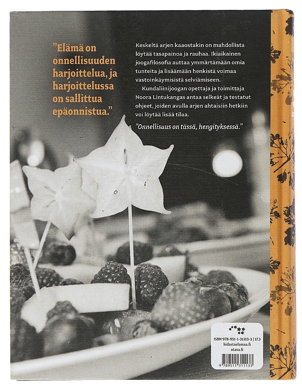 Viihdy omassa arjessasi : mielen ja kehon harjoituksia kaaoksen keskelle - Mustajoki, Noora - Tietokirjat ja oppaat - 10105505378 - 1