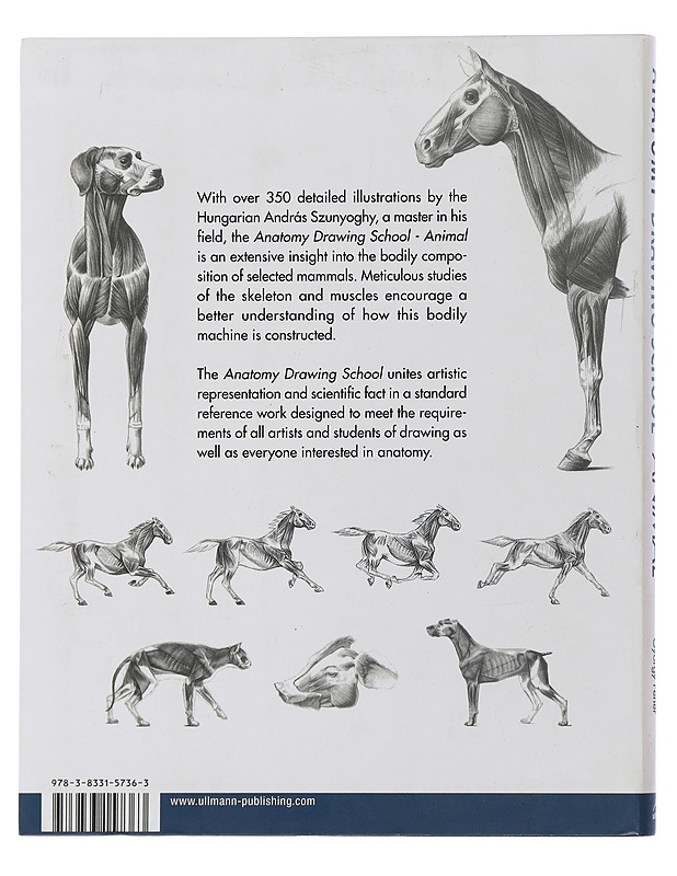 Anatomy drawing school : animal - Szunyoghy, András - Tietokirjat ja oppaat - 10105505395 - 1