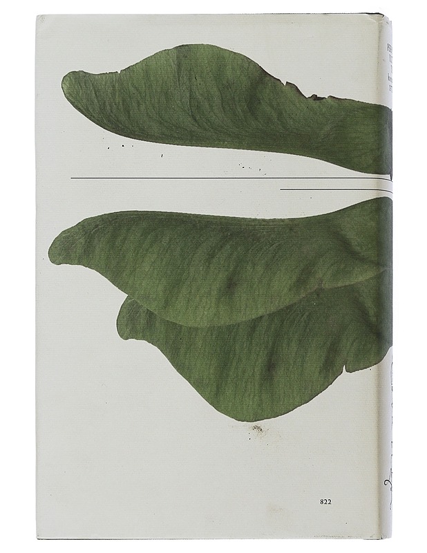 Perhonen ylittää tien : kootut runot 1972-2000 - Eeva Kilpi - Runot ja näytelmät - 10105505406 - 1