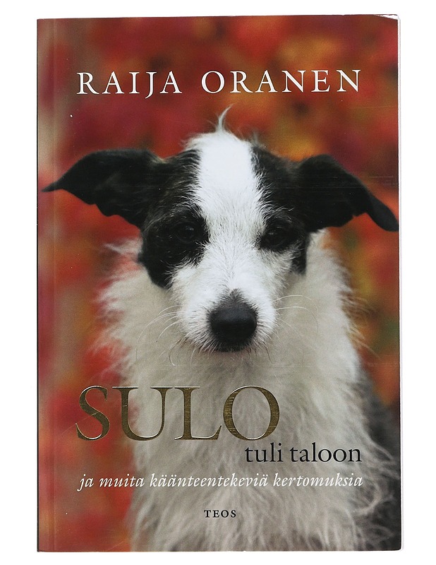 Sulo tuli taloon ja muita käänteentekeviä kertomuksia - Raija Oranen - Romaanit ja novellit - 10105505439 - 0