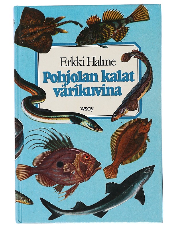 Pohjolan kalat värikuvina - Halme, Erkki - Tietokirjat ja oppaat - 10105505575 - 0