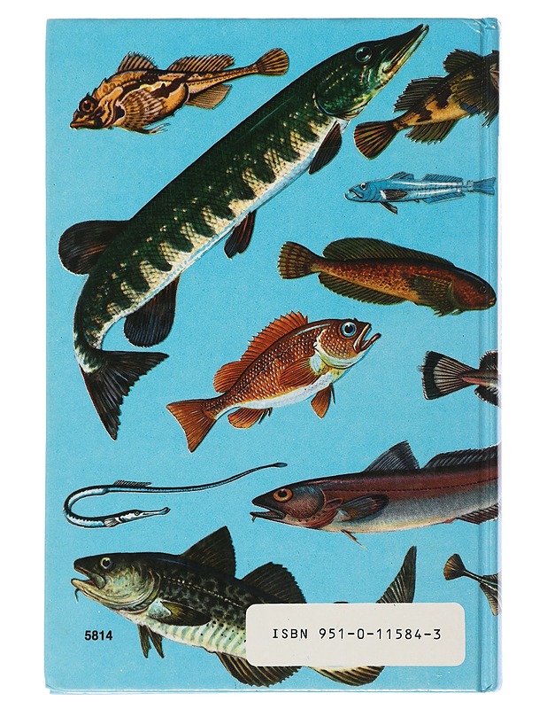 Pohjolan kalat värikuvina - Halme, Erkki - Tietokirjat ja oppaat - 10105505575 - 1