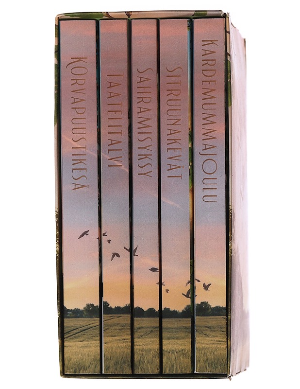 Kahvila Koivu - Kajanto, Maija - Romaanit ja novellit - 10105505837 - 1