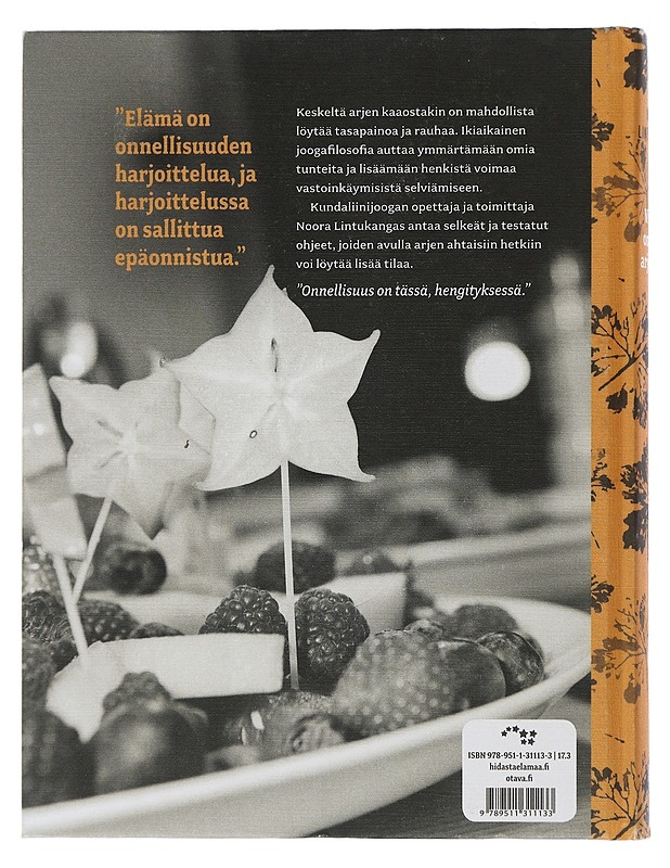 Viihdy omassa arjessasi : mielen ja kehon harjoituksia kaaoksen keskelle - Mustajoki, Noora - Tietokirjat ja oppaat - 10105506088 - 1