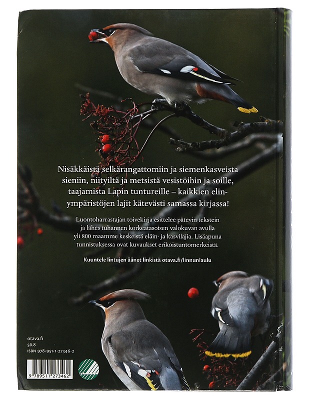 Suomen luonto : tunnistusopas - Laine, Lasse J. - Tietokirjat ja oppaat - 10105506296 - 1