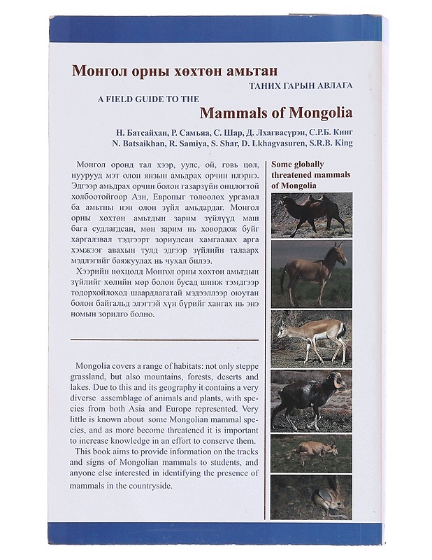 Mammals of Mongolia : A Field Guide - Tietokirjat ja oppaat - 10105506439 - 1