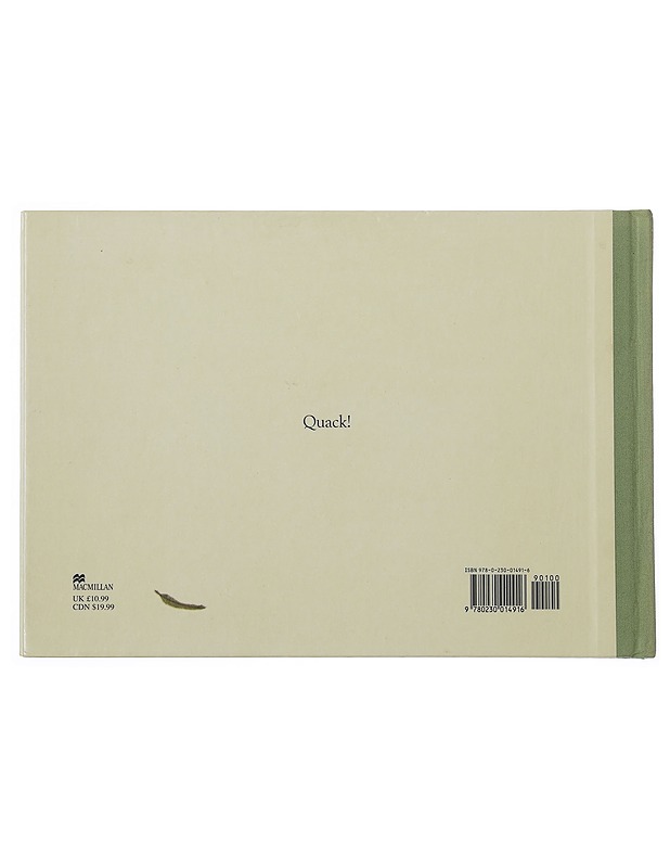 The Odd Egg - Emily Gravett - Lastenkirjat - 10105506556 - 1