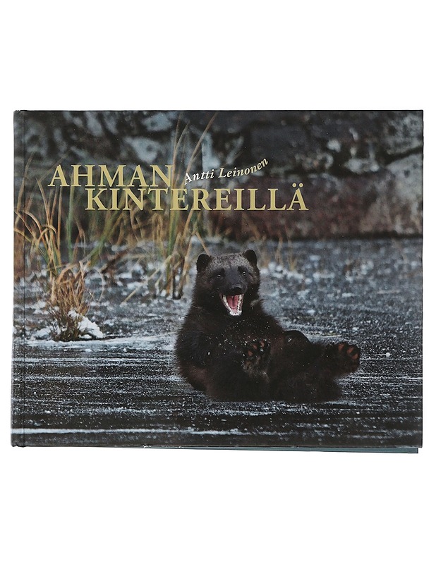 Ahman kintereillä - Leinonen, Antti - Tietokirjat ja oppaat - 10105506887 - 0