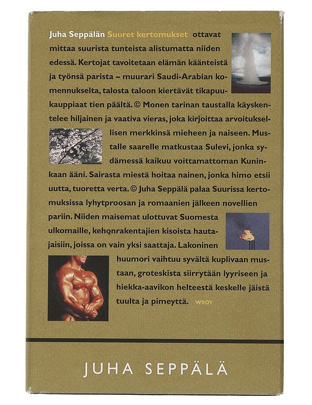 Suuret kertomukset - Juha Seppälä - Romaanit ja novellit - 10105507391 - 0