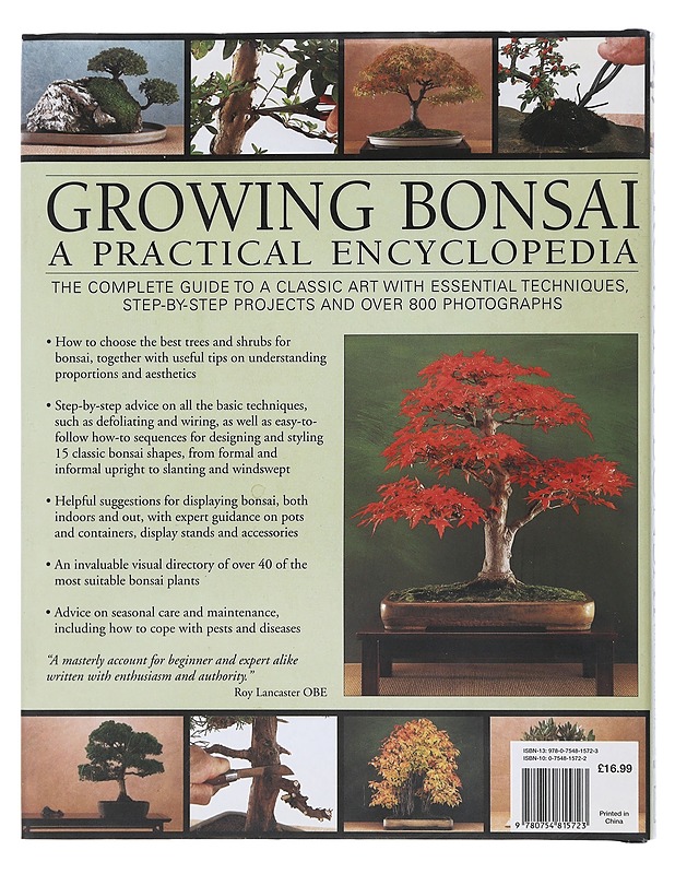 Growing bonsai : a practical encyclopedia- Norman, Ken - Tietokirjat ja oppaat - 10105507422 - 1