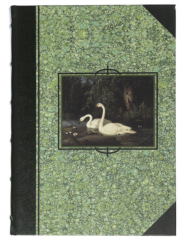 Vellamon väkeä - von Wright - Tietokirjat ja oppaat - 10105507683 - 0