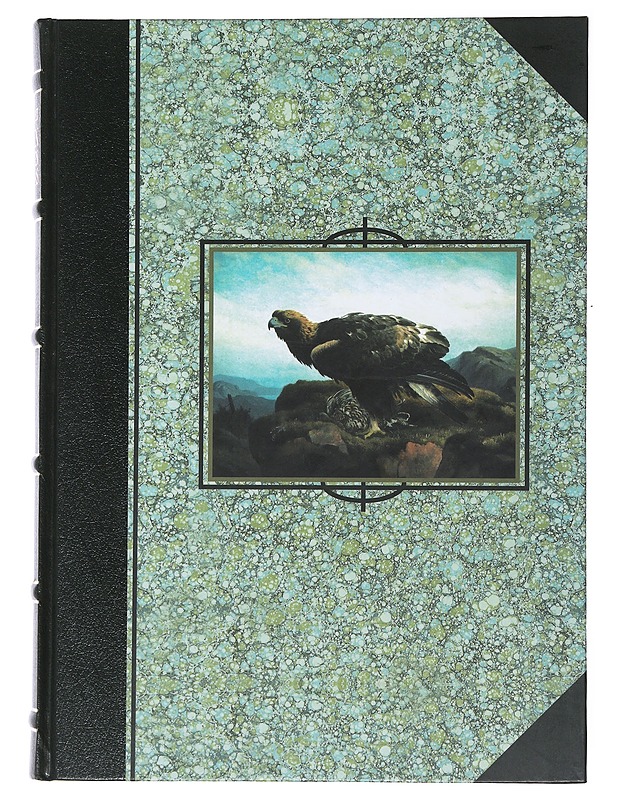 Korven kultainen kuningas - Linnilä , Kai ; Linnilä , Lauri - Tietokirjat - 10105507990 - 0